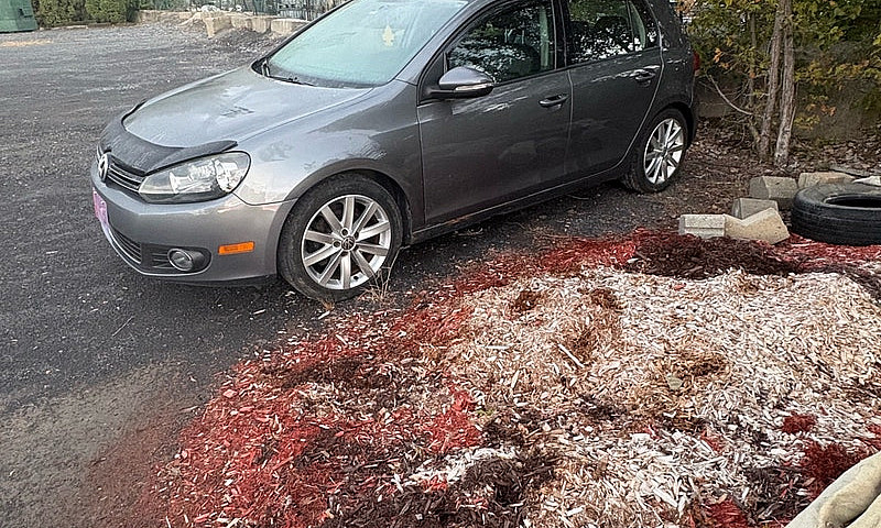 Volkswagen Golf...