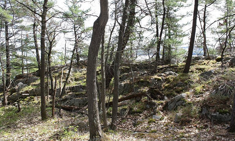 Waterfront Acreage G...