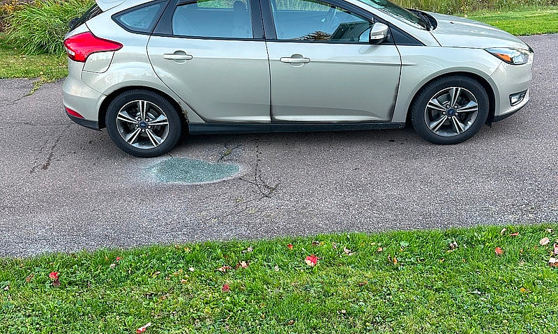 2016 Ford Focus...
