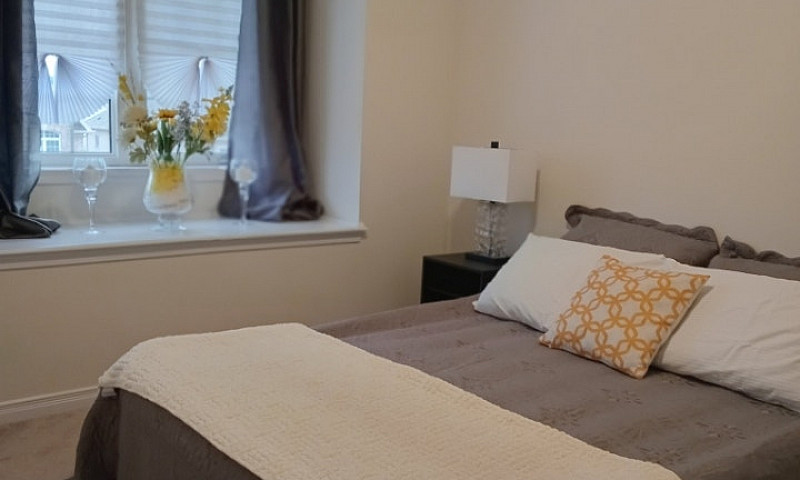 House  Avail Immed S...