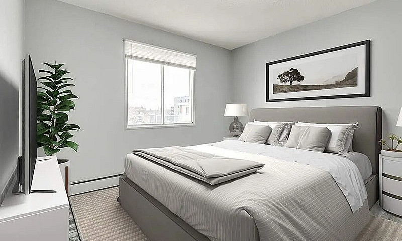 Renovated Apartments...