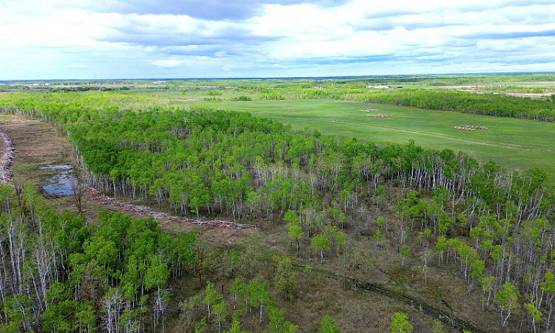 Land For Sale Close ...