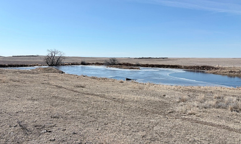 Farm Land For Sale W...