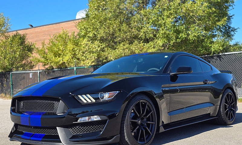 2016 Ford Mustang Sh...