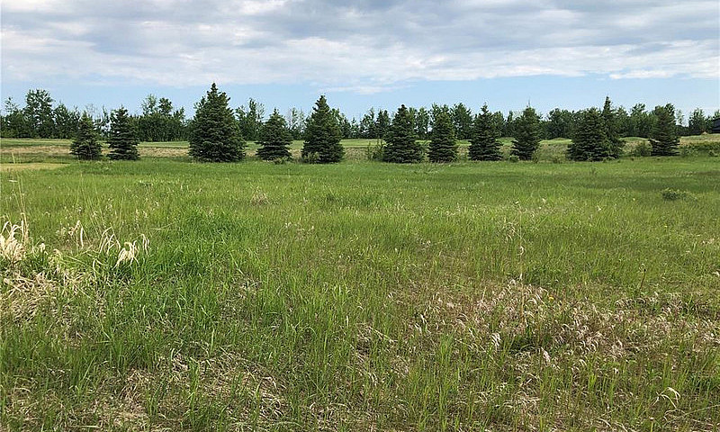 19 Northern Meadows ...