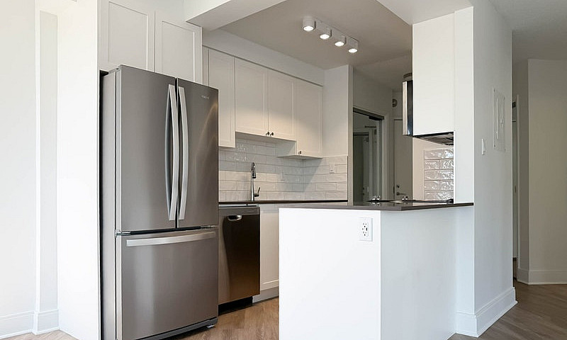 1 Bedroom Apartment ...