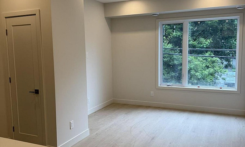 4 - 1301 Dorchester ...