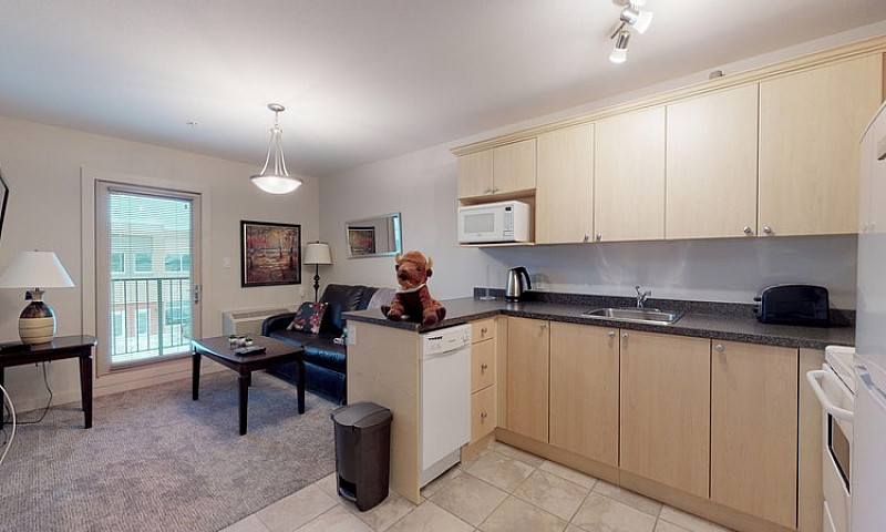 Executive Suites - 1...