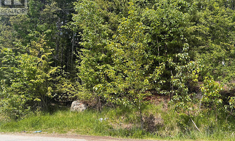 Lot 158 Anglemont Dr...