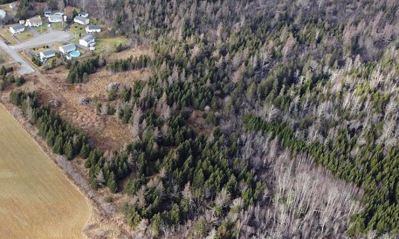 10.5 Acre Lot Min Fr...