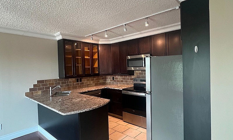1 Bed 1 Bath Availab...