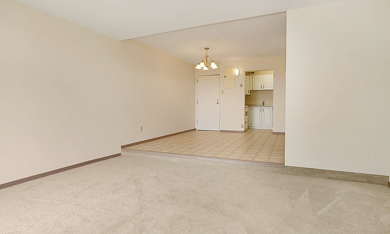 Large 1 Bedrooms Pet...