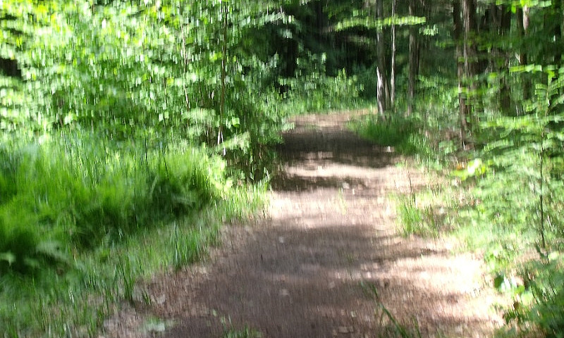 Terre À Bois Rue Jet...