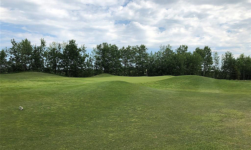 19 Northern Meadows ...