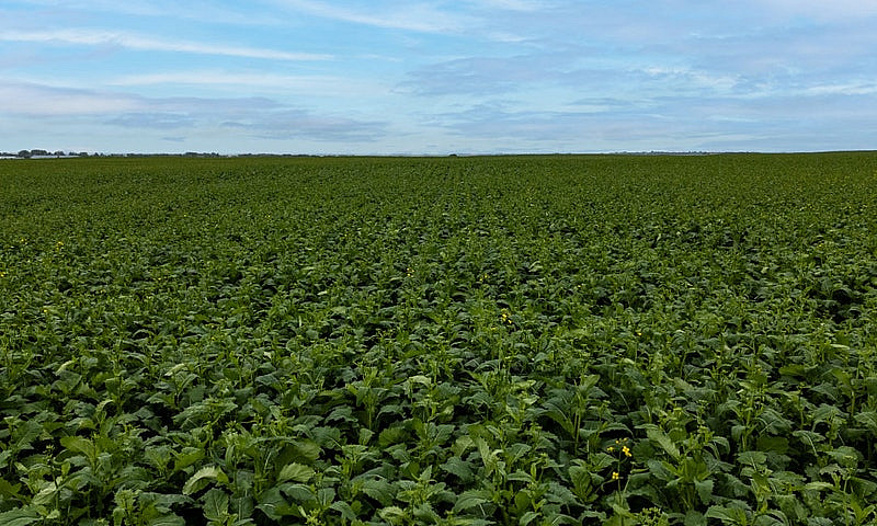 Premier Farmland Off...