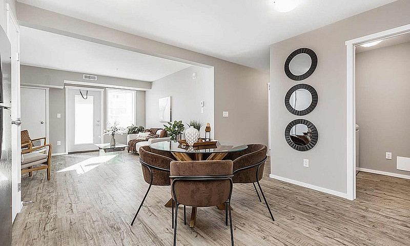 Pet-Friendly One Bed...