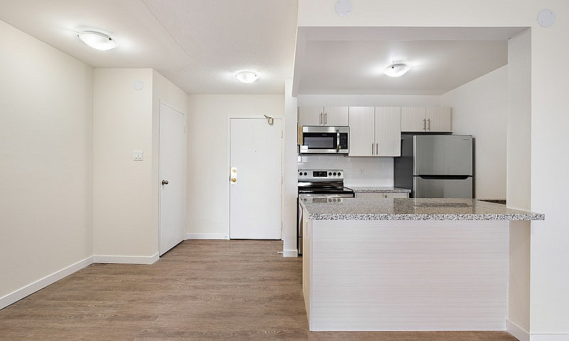 Webster Apartments -...