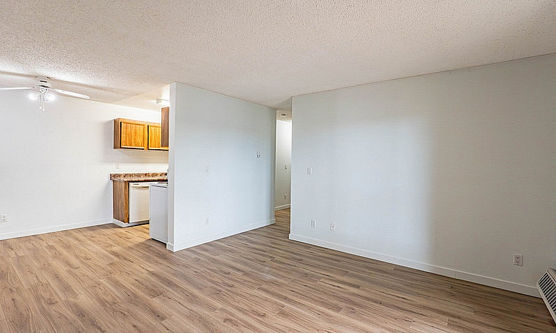 Spacious And Bright ...