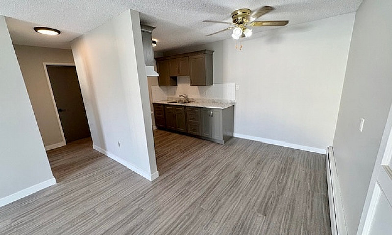 Unit 301, 101 14Th A...