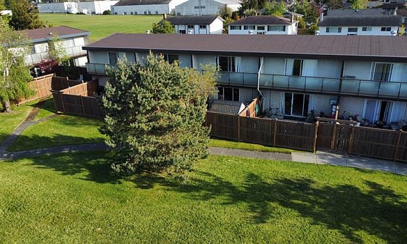 3 Bedroom House For ...