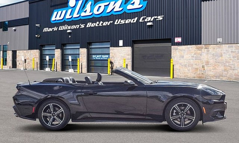2025 Ford Mustang Co...