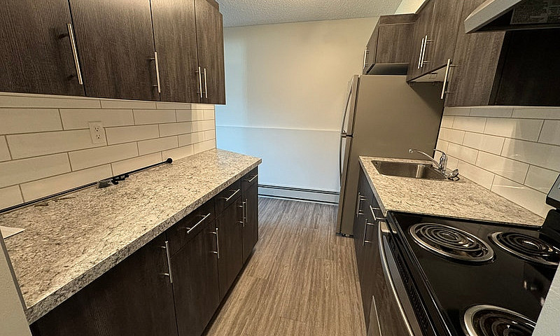 Cozy, Pet-Friendly G...