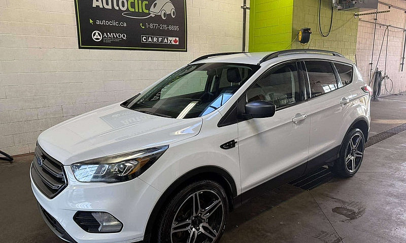 2019 Ford Escape Sel...