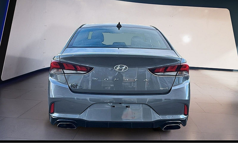 2019 Hyundai Sonata ...