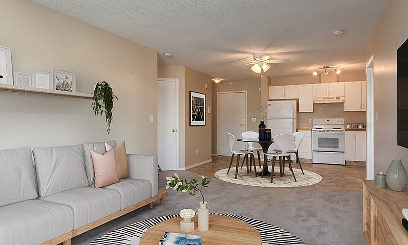 Modern Apartments Wi...