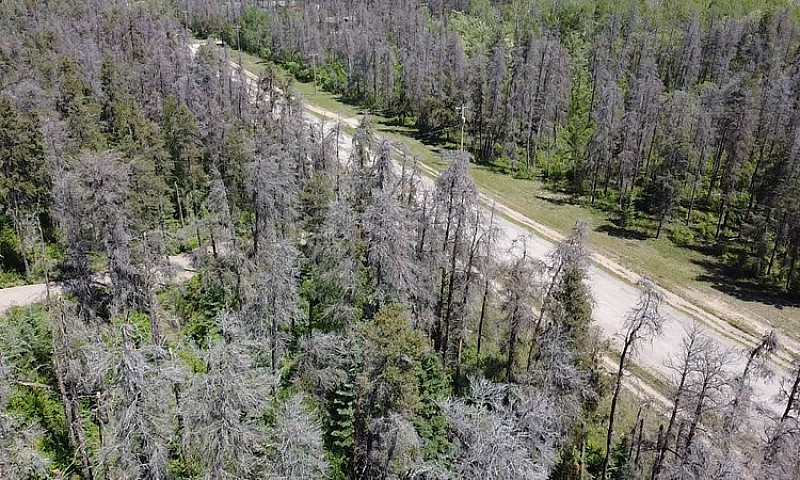 Stunning 1.09Acre Pr...