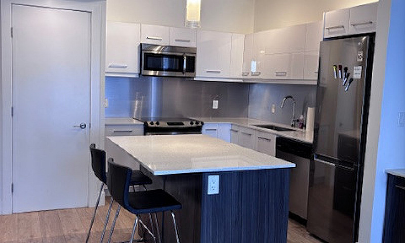 Fully Furnished 1+De...