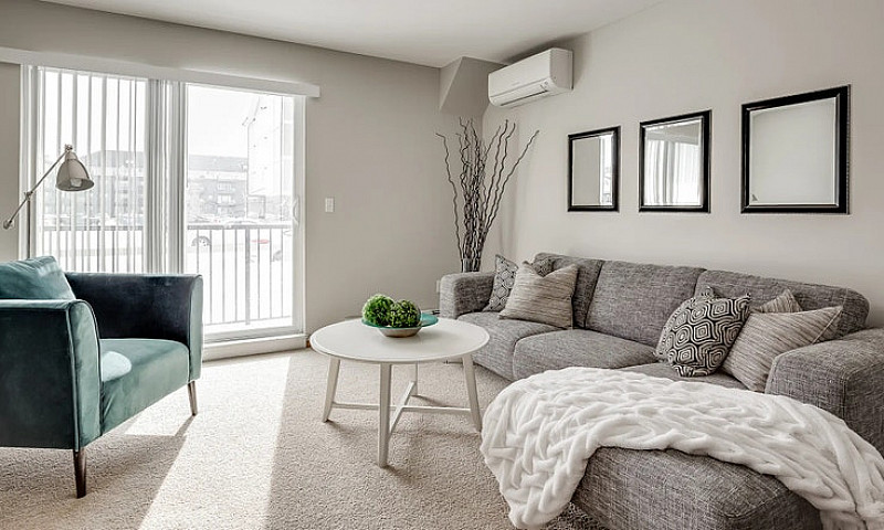 Pet-Friendly Two Bed...