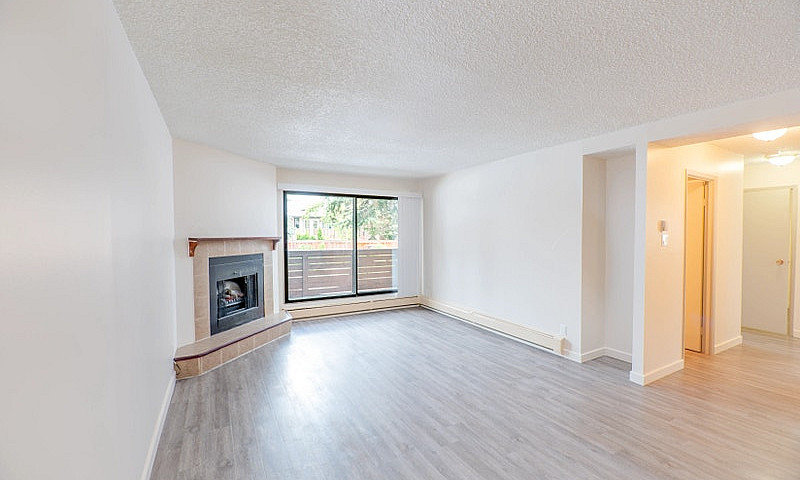Bachelor, 1 Bedroom ...