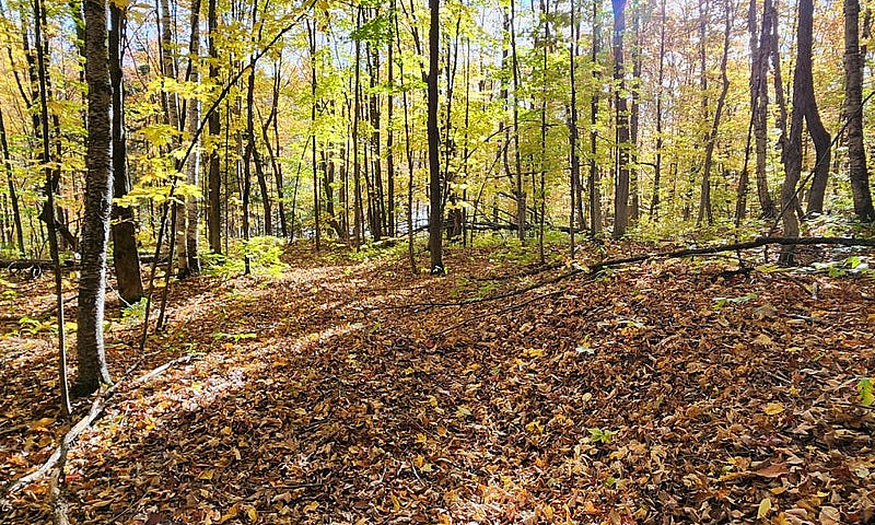 $699,999 - Land To B...