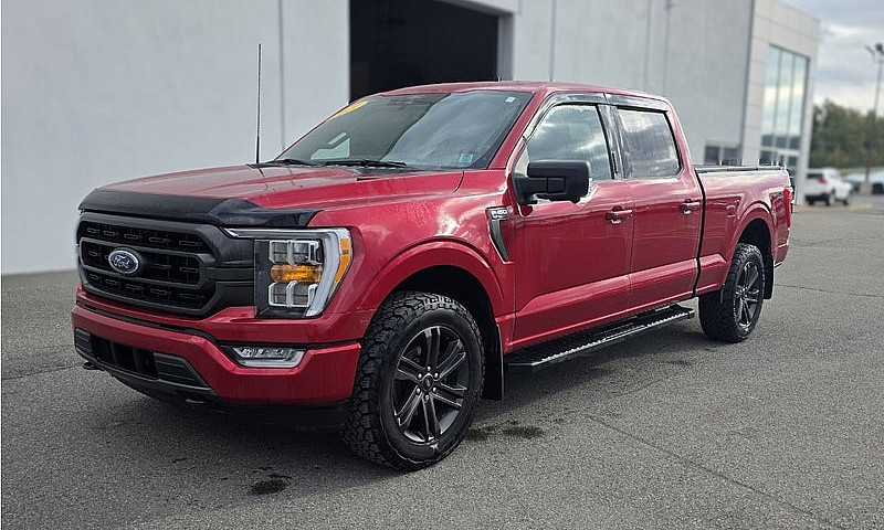 2021 Ford F-150 Xlt ...