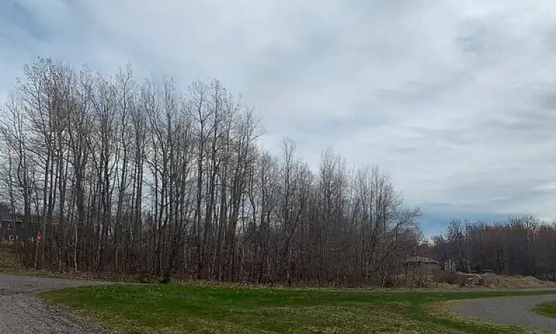 Large Building Lot I...