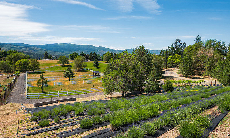 9.56 Acre Country Es...