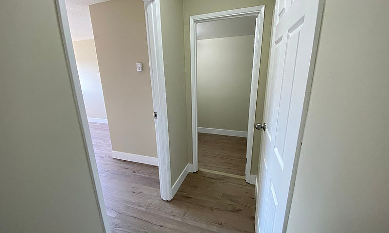 2 Bed, 1 Bath Starti...
