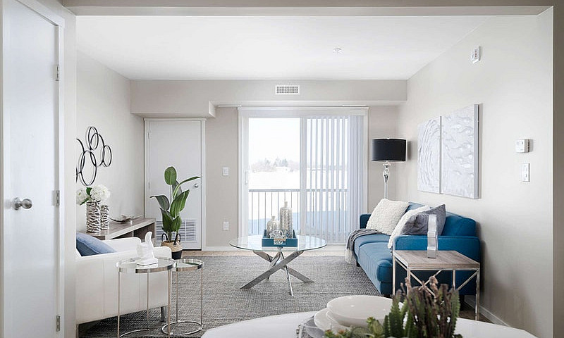 Pet-Friendly Three B...