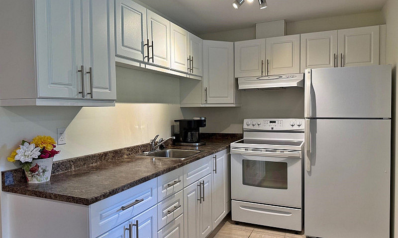 Reduced Price! Priva...