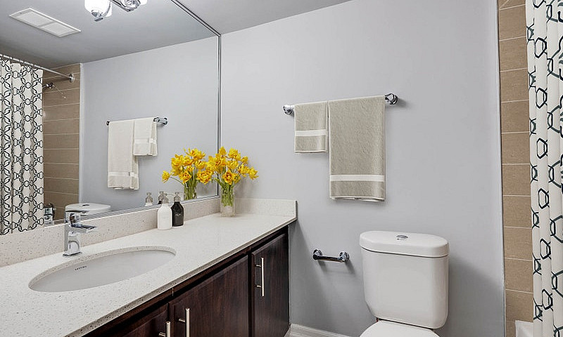 Etobicoke 3 Bedroom ...