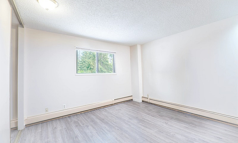 Bachelor, 1 Bedroom ...