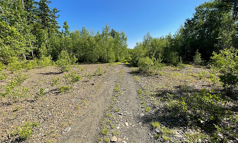 2.25 Acres With Driv...