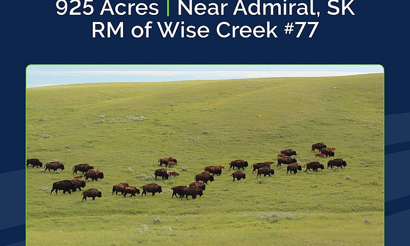 925 Acres Of Pasture...