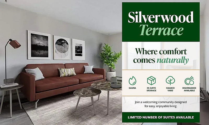 Modern Apartments Wi...
