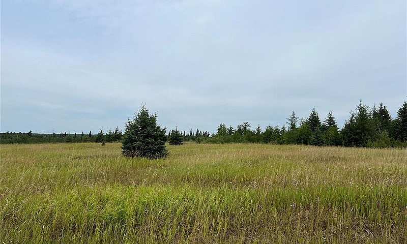 Dorintosh 159 Acres...