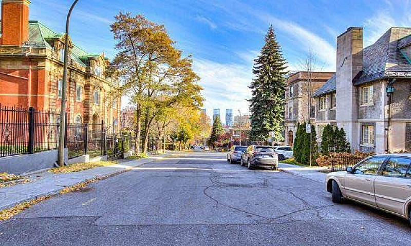 Mcgill Area - Superb...