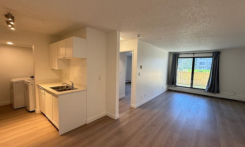 Modern 1 Bed 1 Bath ...