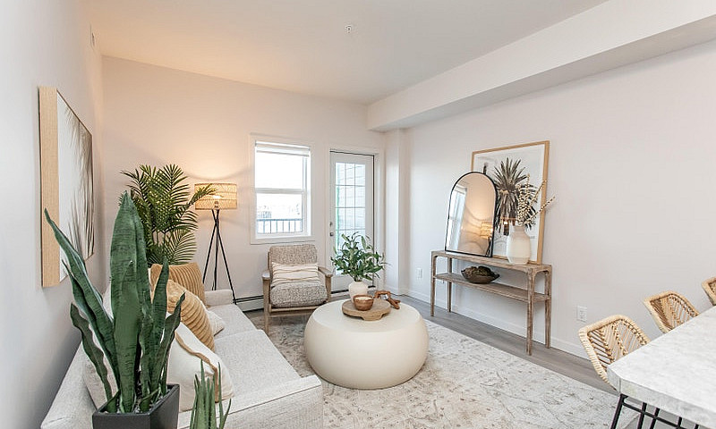 1 Bedroom Apartment ...