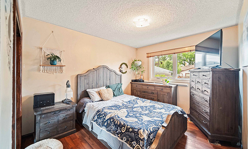 Open House! - 517 Ha...
